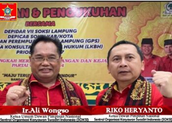 Reshuffle Lanjutan: Jalan Tegas Menjawab Paradoks Indonesia
