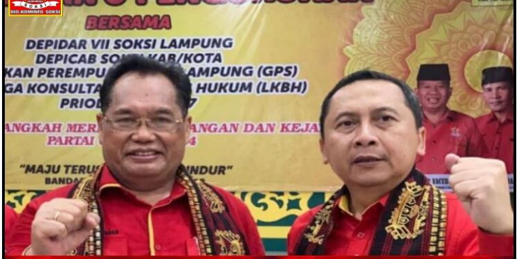 Reshuffle Lanjutan: Jalan Tegas Menjawab Paradoks Indonesia