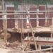 Dinilai Tidak Kompeten Dalam Mengerjakan Proyek Negara. PT. KMU Tidak Ada apertanggungjawaban Setelah Merusak Lahan Warga