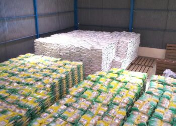 Jelang Nataru, Bulog Bali Pastikan Stok Beras Aman: Masyarakat Tak Perlu Khawatir!