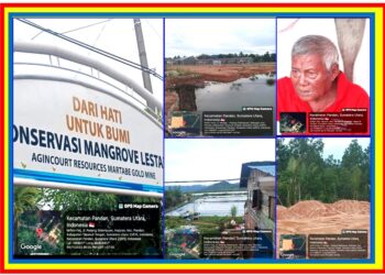 Pengusaha Nakal Rusak Hutan Mangruve, Diduga Bangun Usaha Demi Keuntungan Pribadi