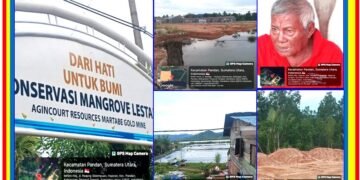 Pengusaha Nakal Rusak Hutan Mangruve, Diduga Bangun Usaha Demi Keuntungan Pribadi