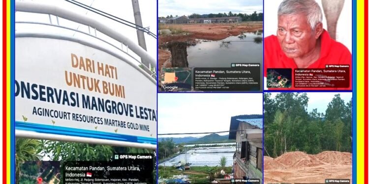Pengusaha Nakal Rusak Hutan Mangruve, Diduga Bangun Usaha Demi Keuntungan Pribadi